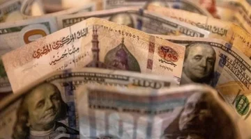 تحركات مفاجئة.. سعر الدولار أمام الجنيه المصري في تعاملات البنوك المسائية